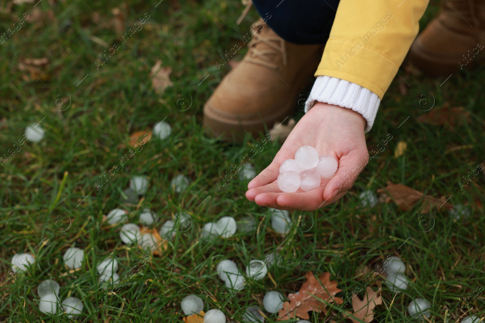 Photo of Woman holding hail grains after thunderstorm outdoors, closeup