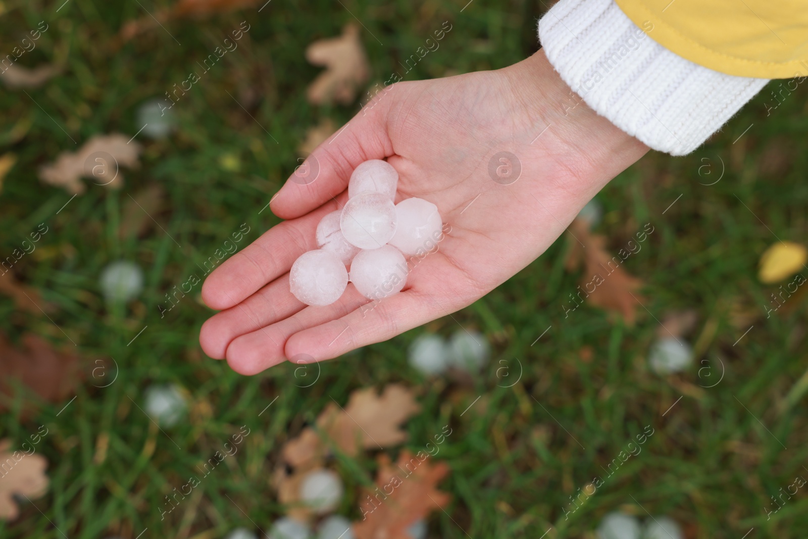 Photo of Woman holding hail grains after thunderstorm outdoors, closeup