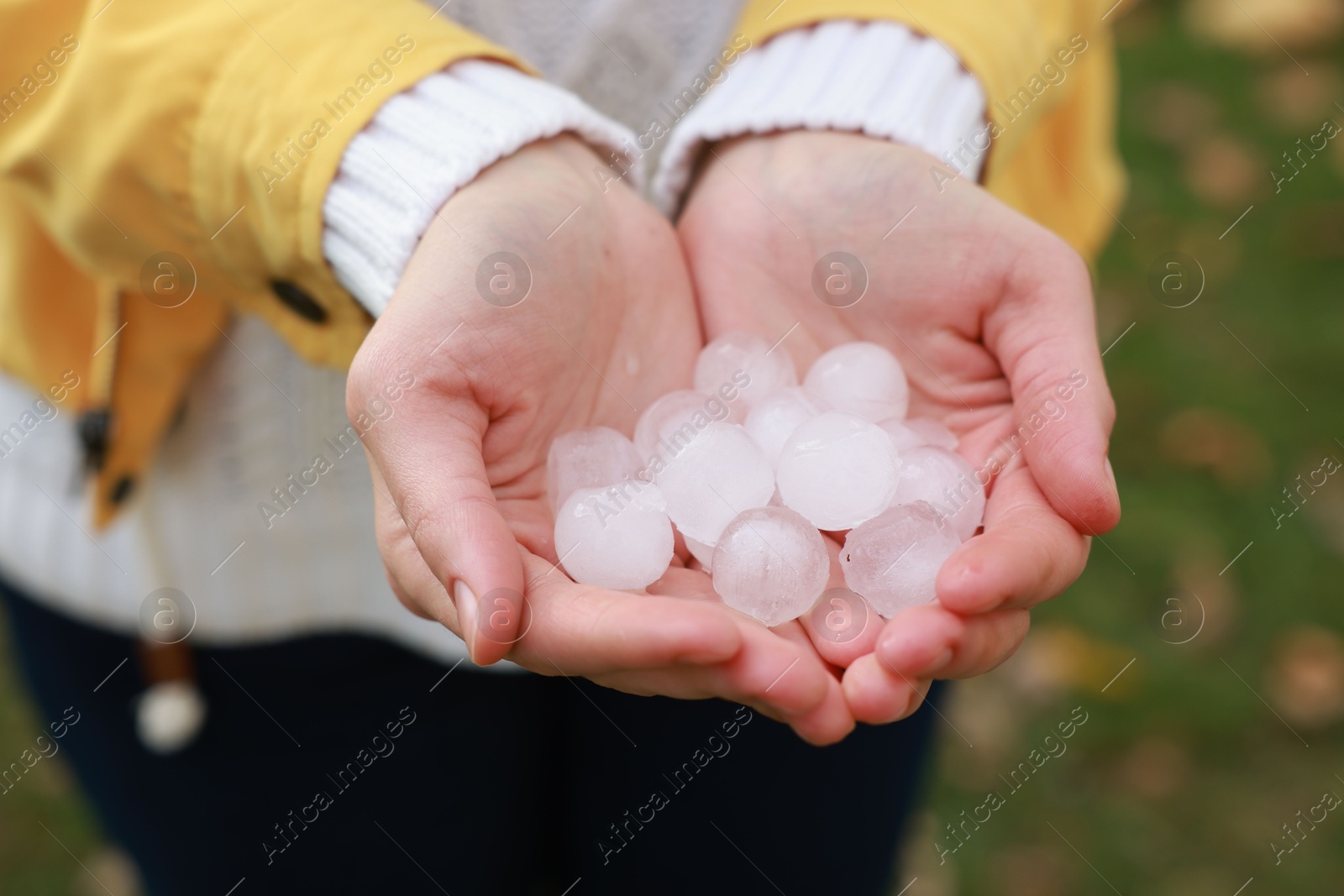 Photo of Woman holding hail grains after thunderstorm outdoors, closeup