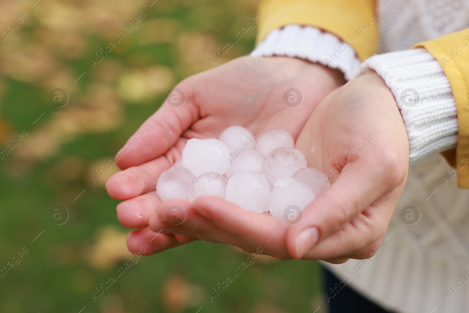 Photo of Woman holding hail grains after thunderstorm outdoors, closeup