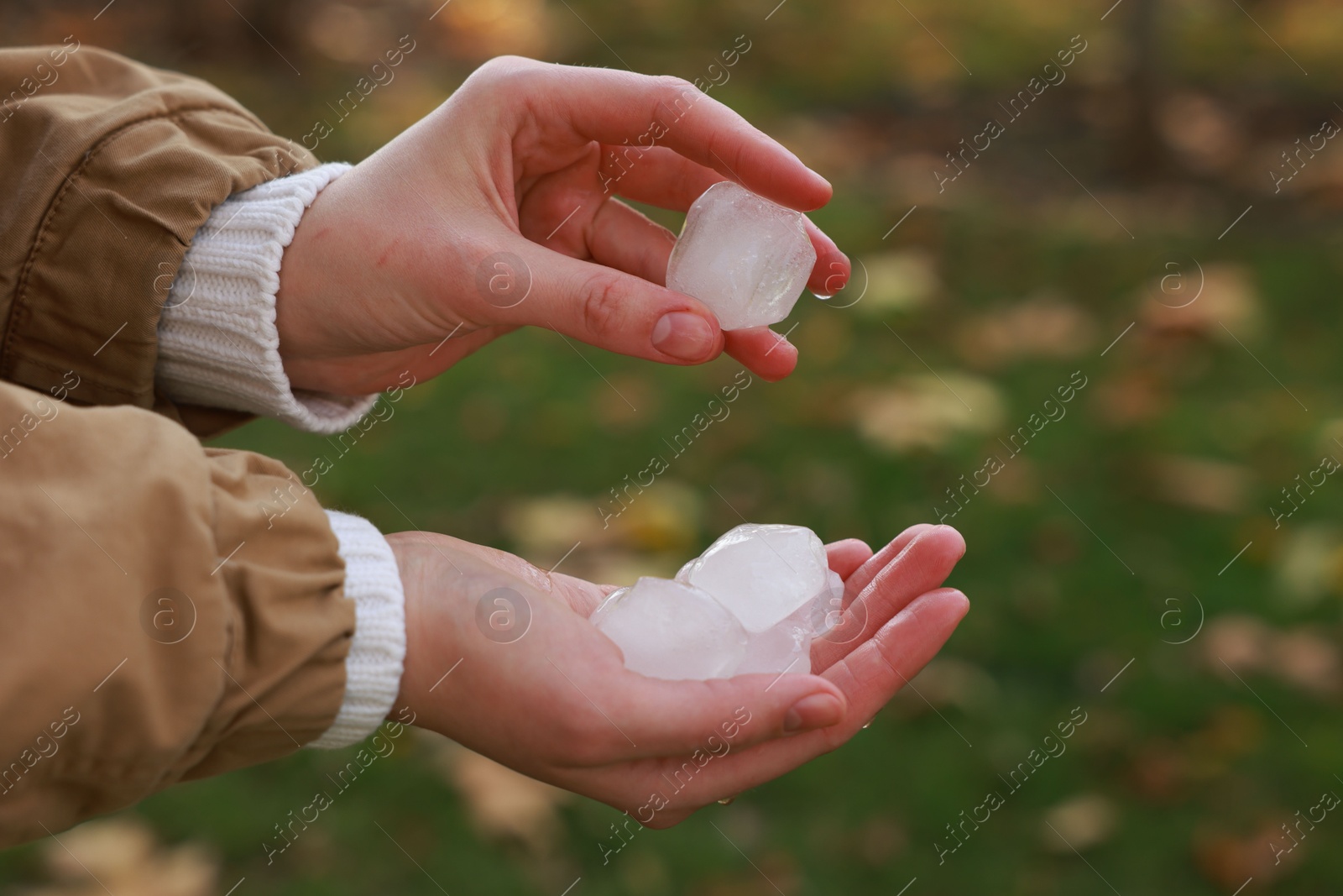 Photo of Woman holding hail grains after thunderstorm outdoors, closeup