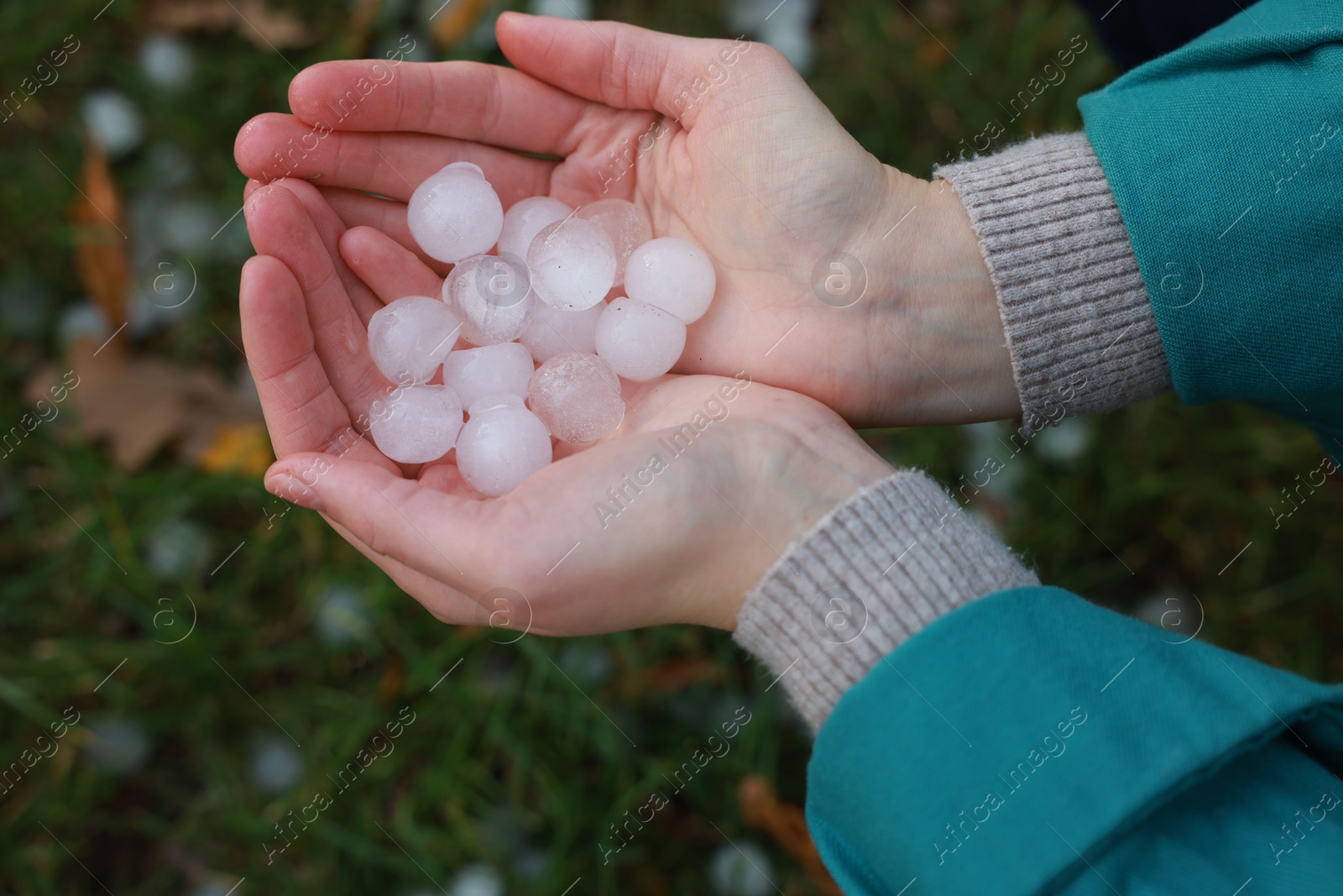 Photo of Woman holding hail grains after thunderstorm outdoors, top view