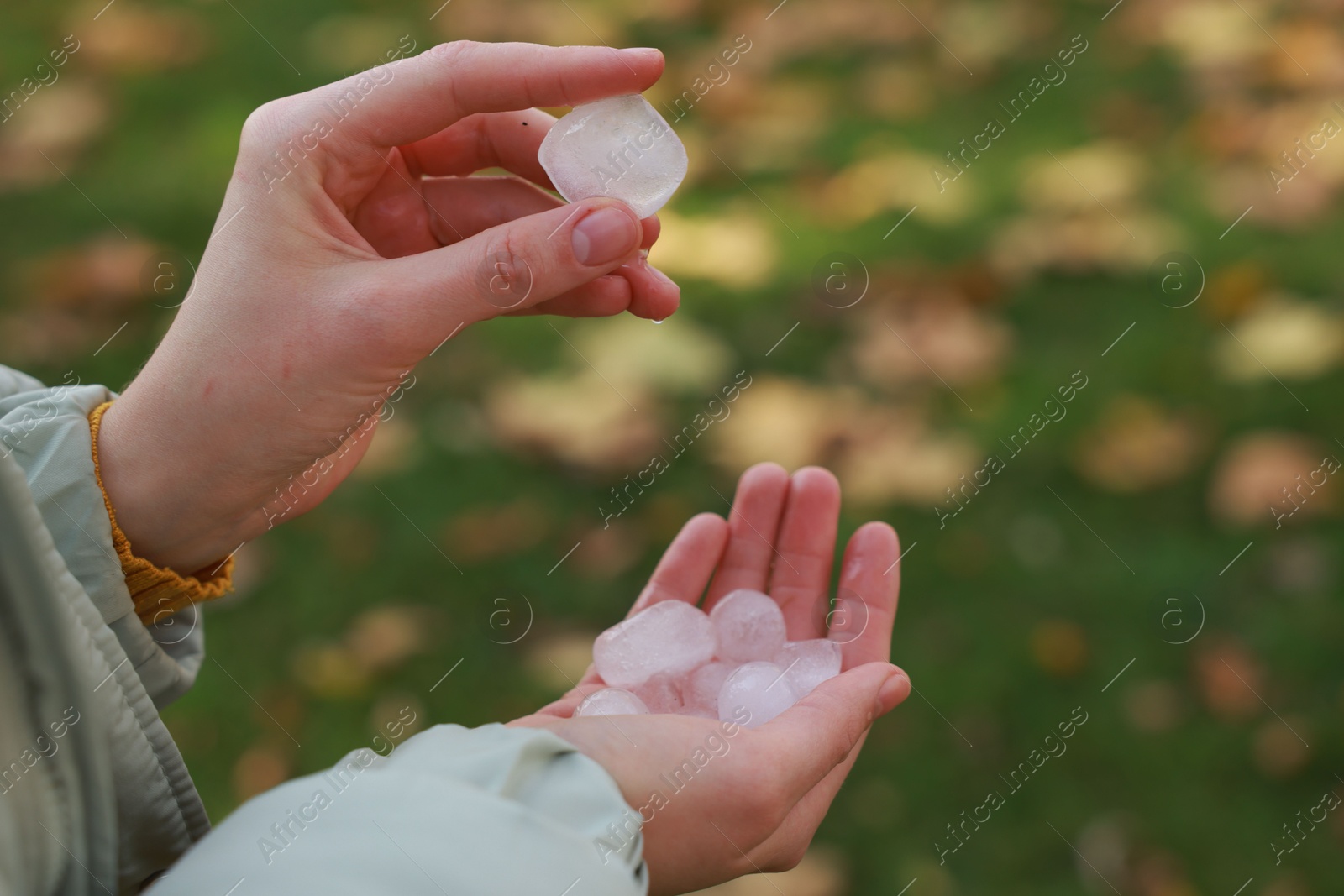 Photo of Woman holding hail grains after thunderstorm outdoors, closeup