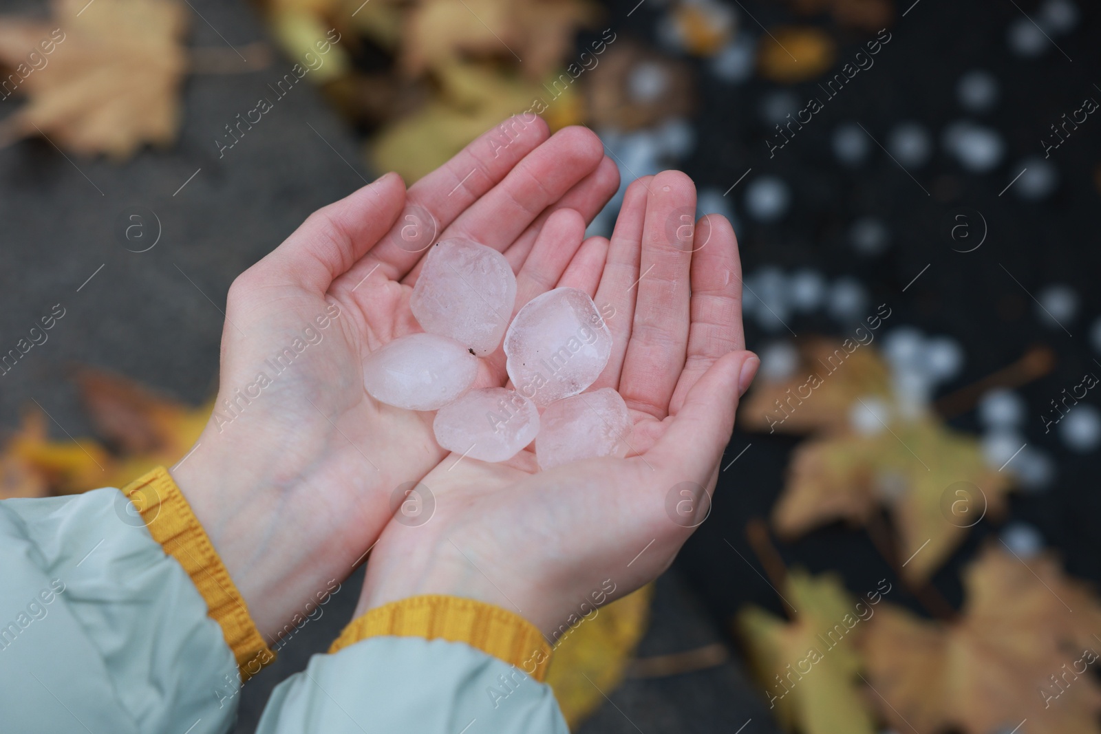 Photo of Woman holding hail grains after thunderstorm outdoors, closeup