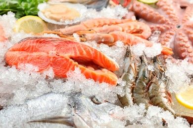 Photo of Fresh salmon steak, whole raw octopus and other sea food on ice, closeup