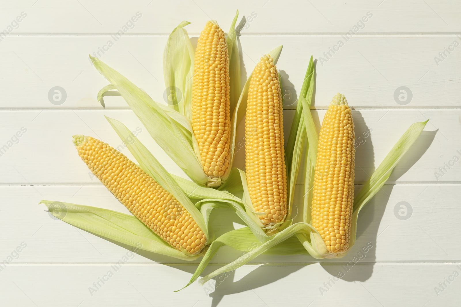 Photo of Many fresh ripe corncobs with green husks on white wooden table, top view