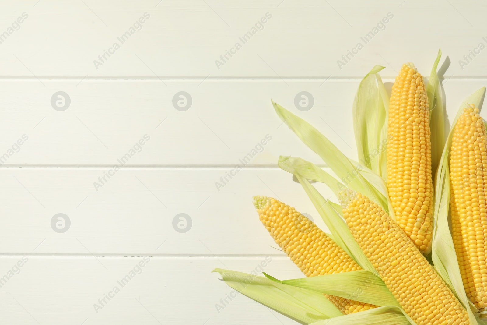 Photo of Many fresh ripe corncobs with green husks on white wooden table, top view. Space for text