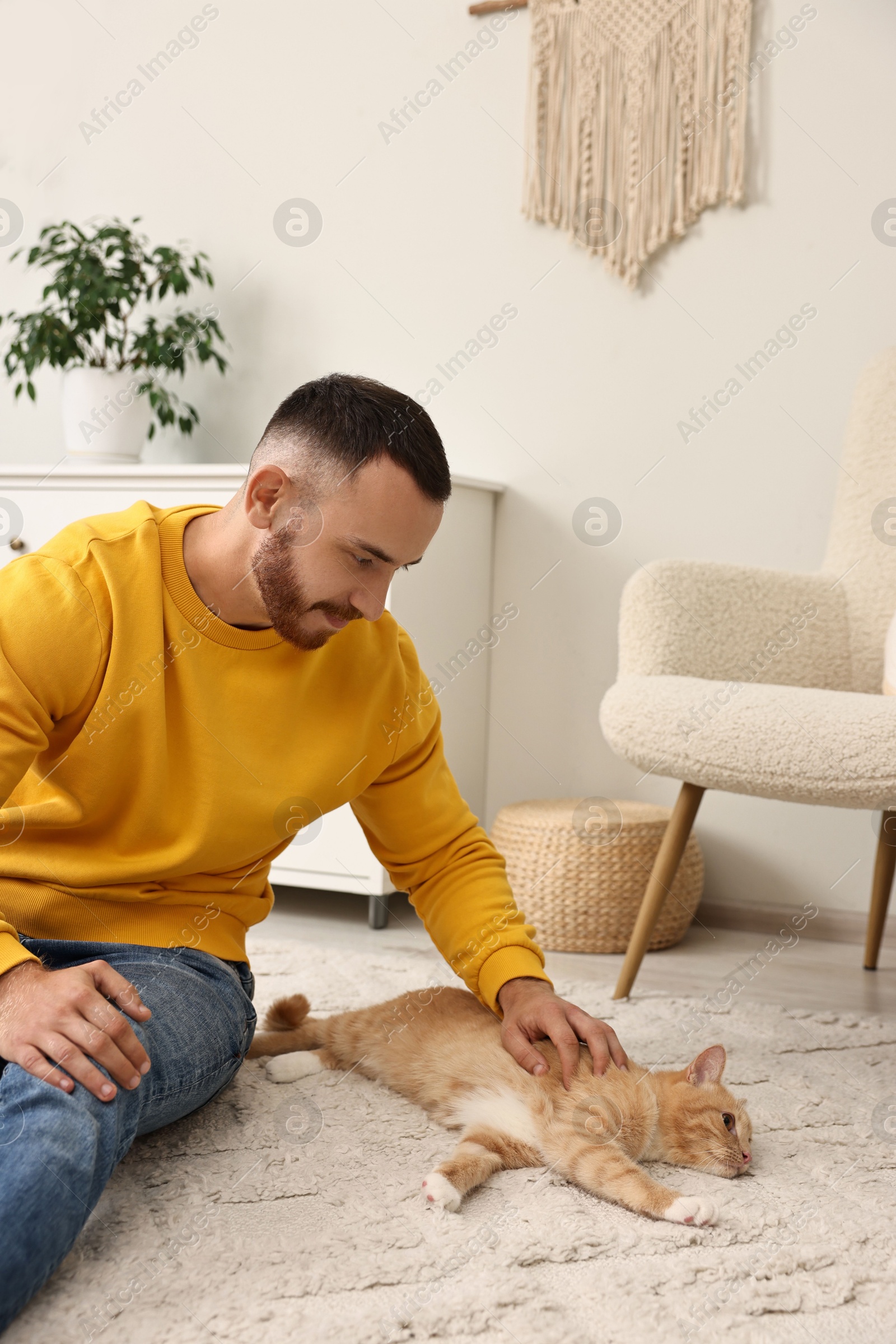 Photo of Man petting cute ginger cat on floor at home