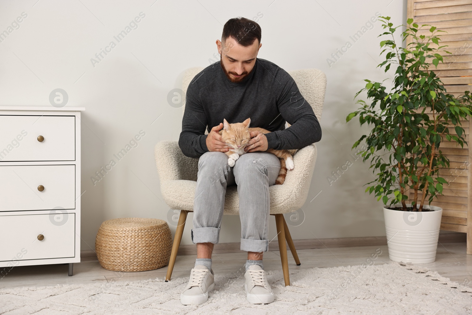 Photo of Man petting cute ginger cat on armchair at home