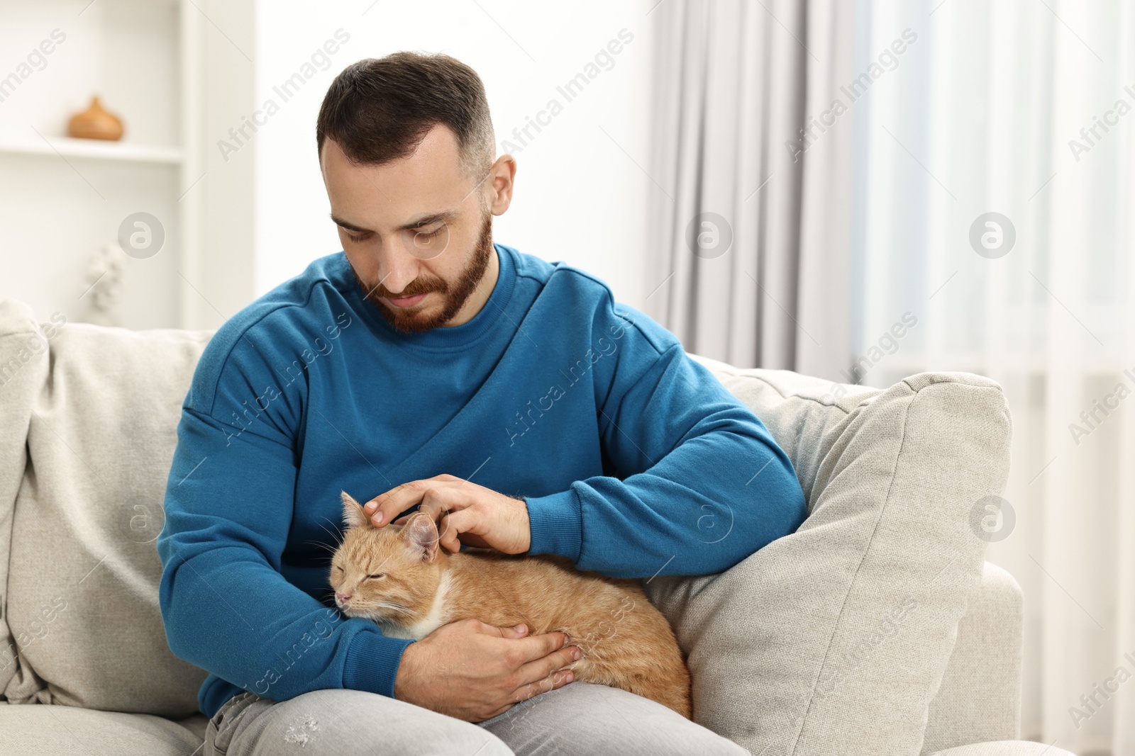 Photo of Man petting cute ginger cat on sofa at home