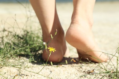 Photo of Woman walking barefoot on sand outdoors, closeup