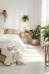 Photo of Stylish bedroom interior with large bed, houseplants and decorative elements