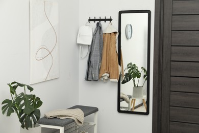 Mirror, houseplant, clothes and bench in stylish hallway