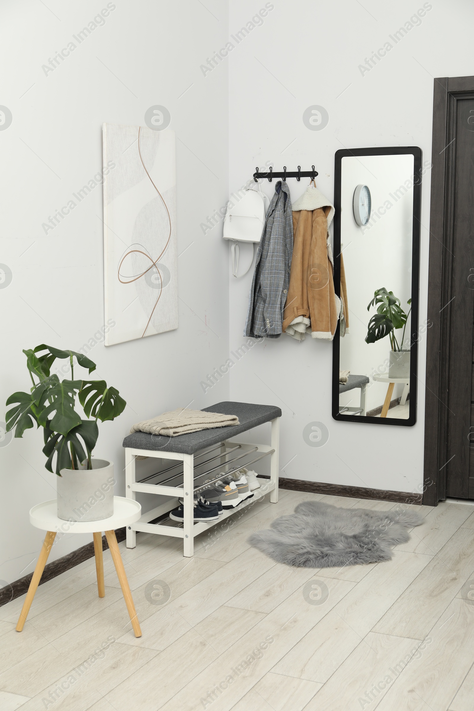 Photo of Mirror, houseplant and bench in stylish hallway