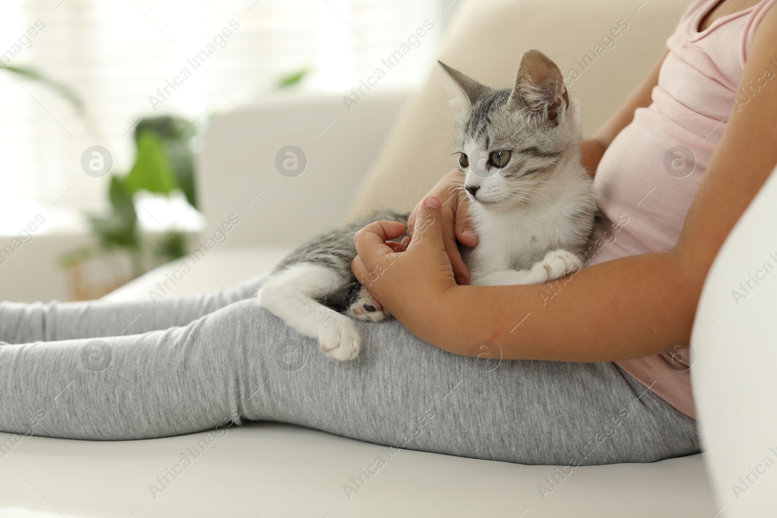 Photo of Little girl with cute kitten at home, closeup