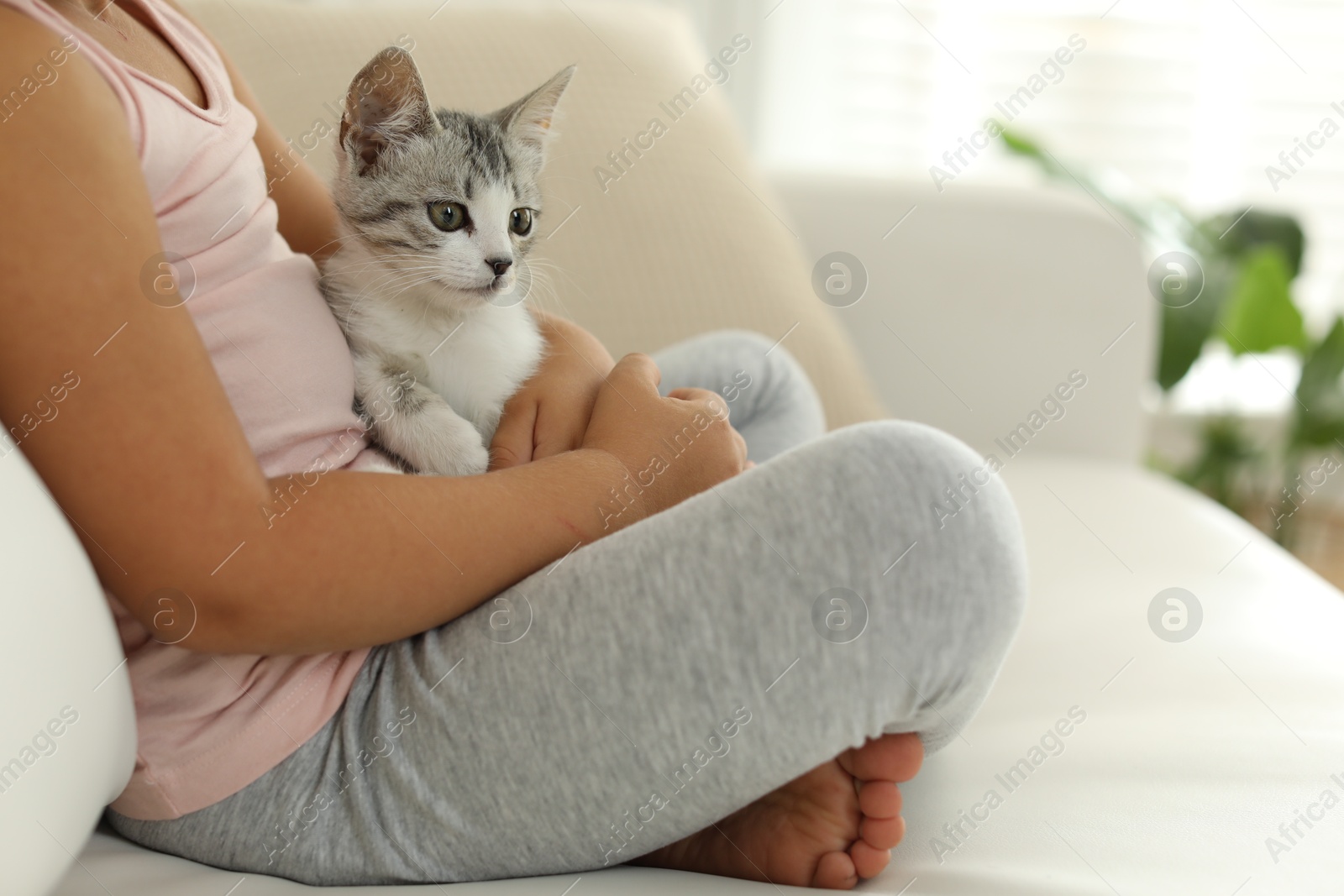 Photo of Little girl with cute kitten at home, closeup