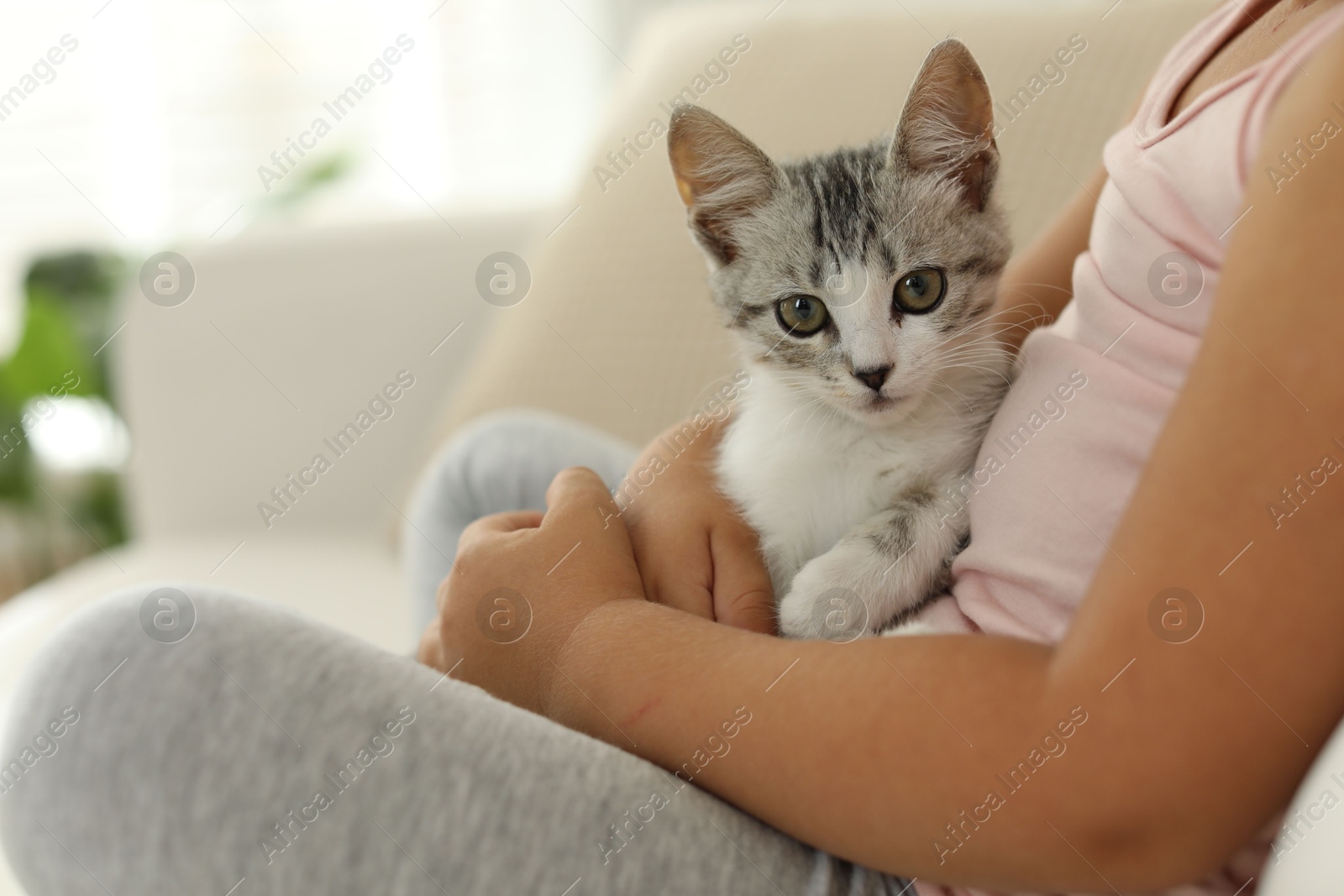 Photo of Little girl with cute kitten at home, closeup