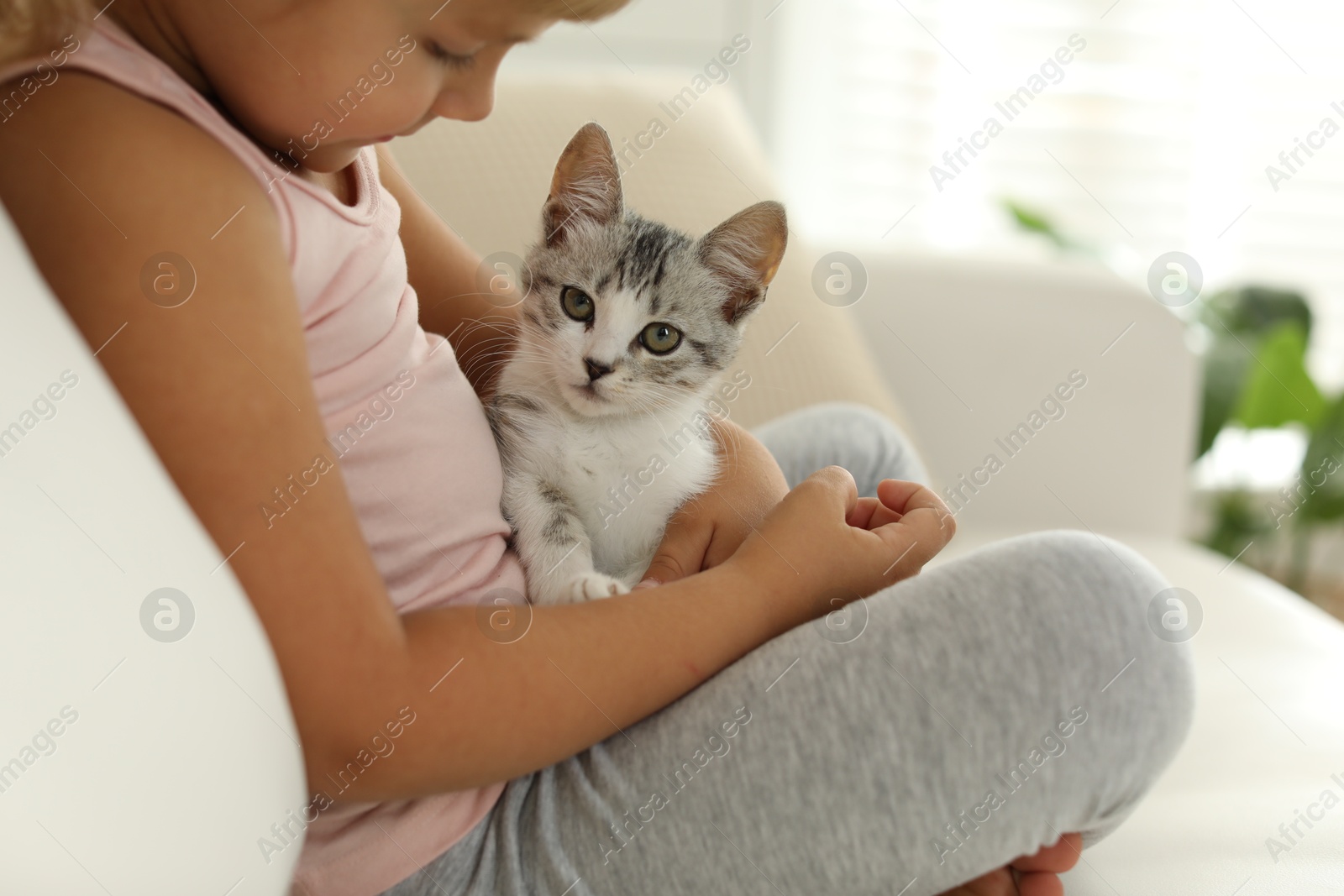 Photo of Little girl with cute kitten at home, closeup