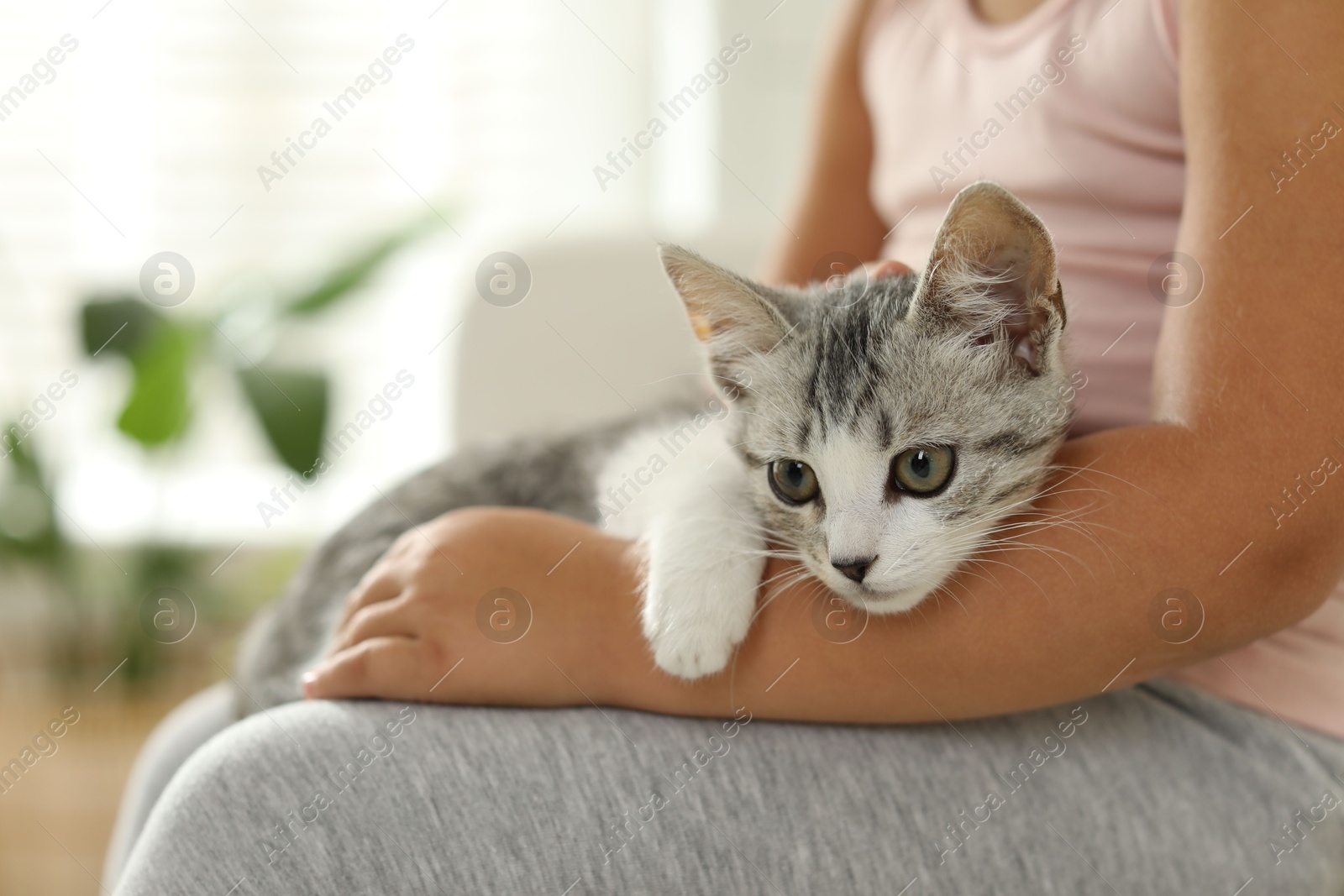 Photo of Little girl with cute kitten at home, closeup