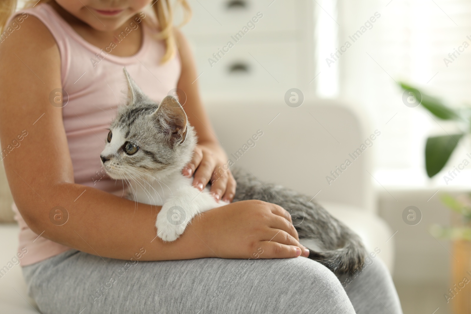 Photo of Little girl with cute kitten at home, closeup