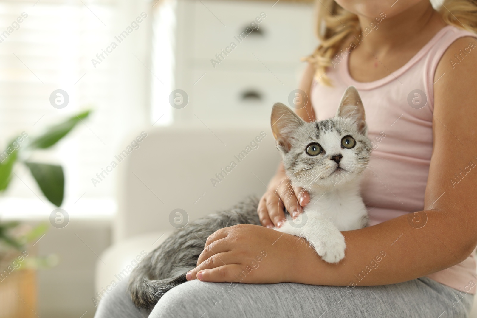 Photo of Little girl with cute kitten at home, closeup