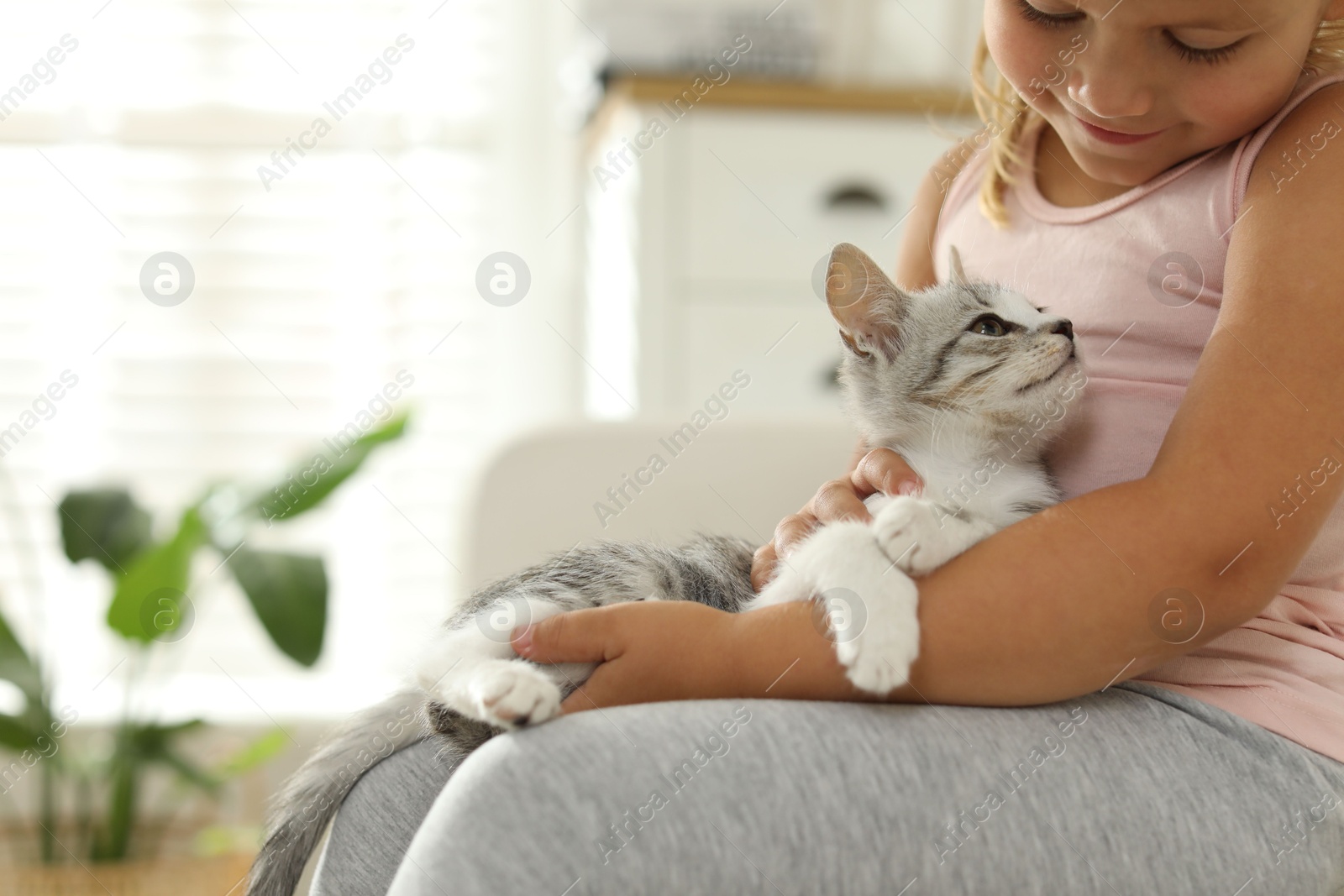 Photo of Little girl with cute kitten at home, closeup