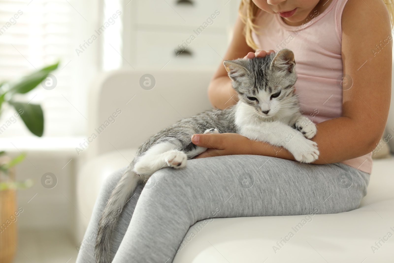 Photo of Little girl with cute kitten at home, closeup