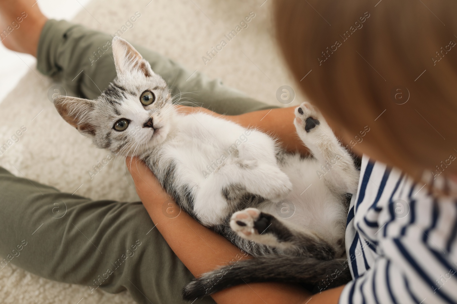 Photo of Little girl with cute kitten at home, closeup