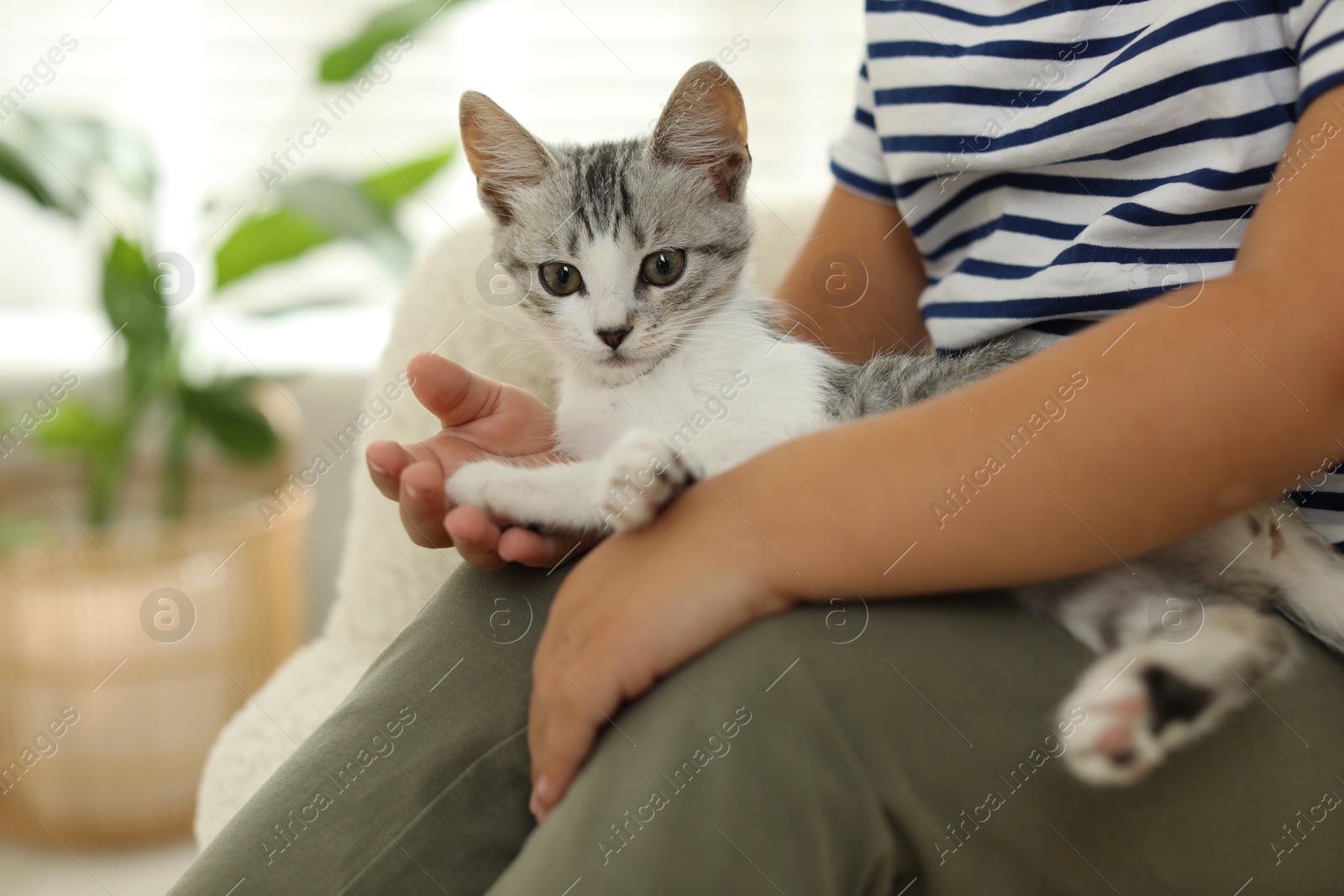 Photo of Little girl with cute kitten at home, closeup