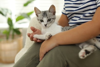 Photo of Little girl with cute kitten at home, closeup