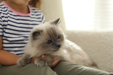 Photo of Little girl with cute kitten at home, closeup