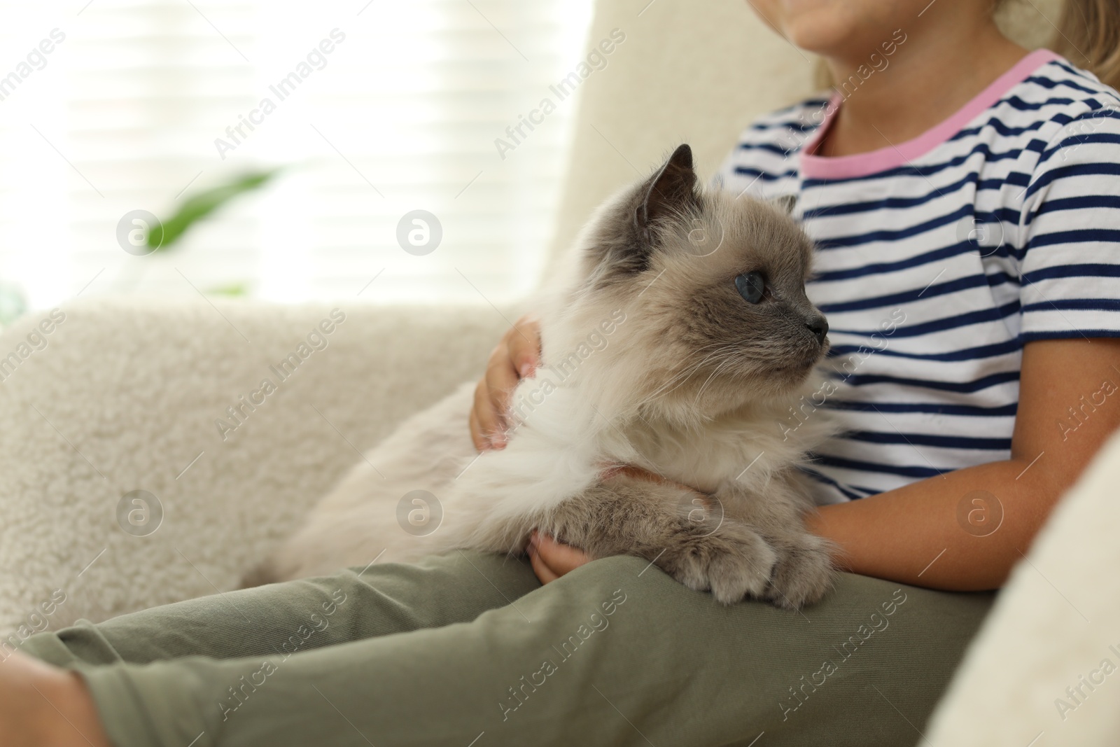 Photo of Little girl with cute kitten at home, closeup