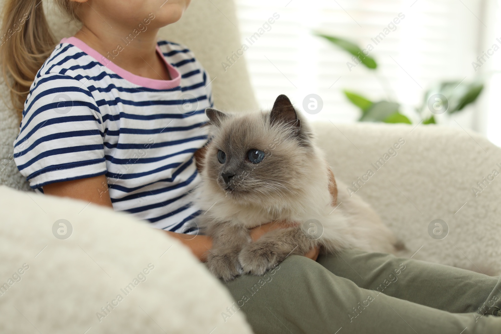 Photo of Little girl with cute kitten at home, closeup