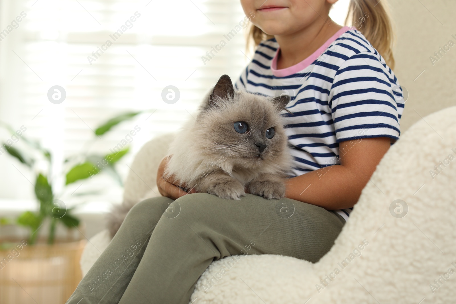 Photo of Little girl with cute kitten at home, closeup