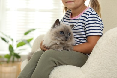 Little girl with cute kitten at home, closeup