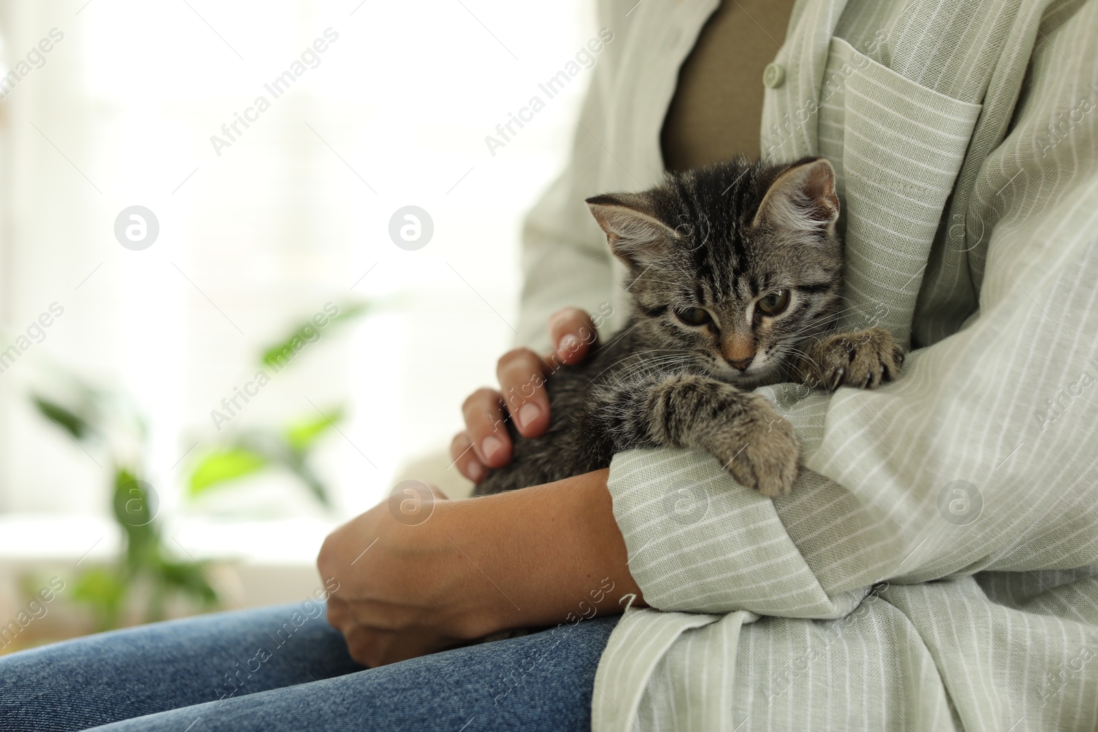 Photo of Woman with cute kitten at home, closeup