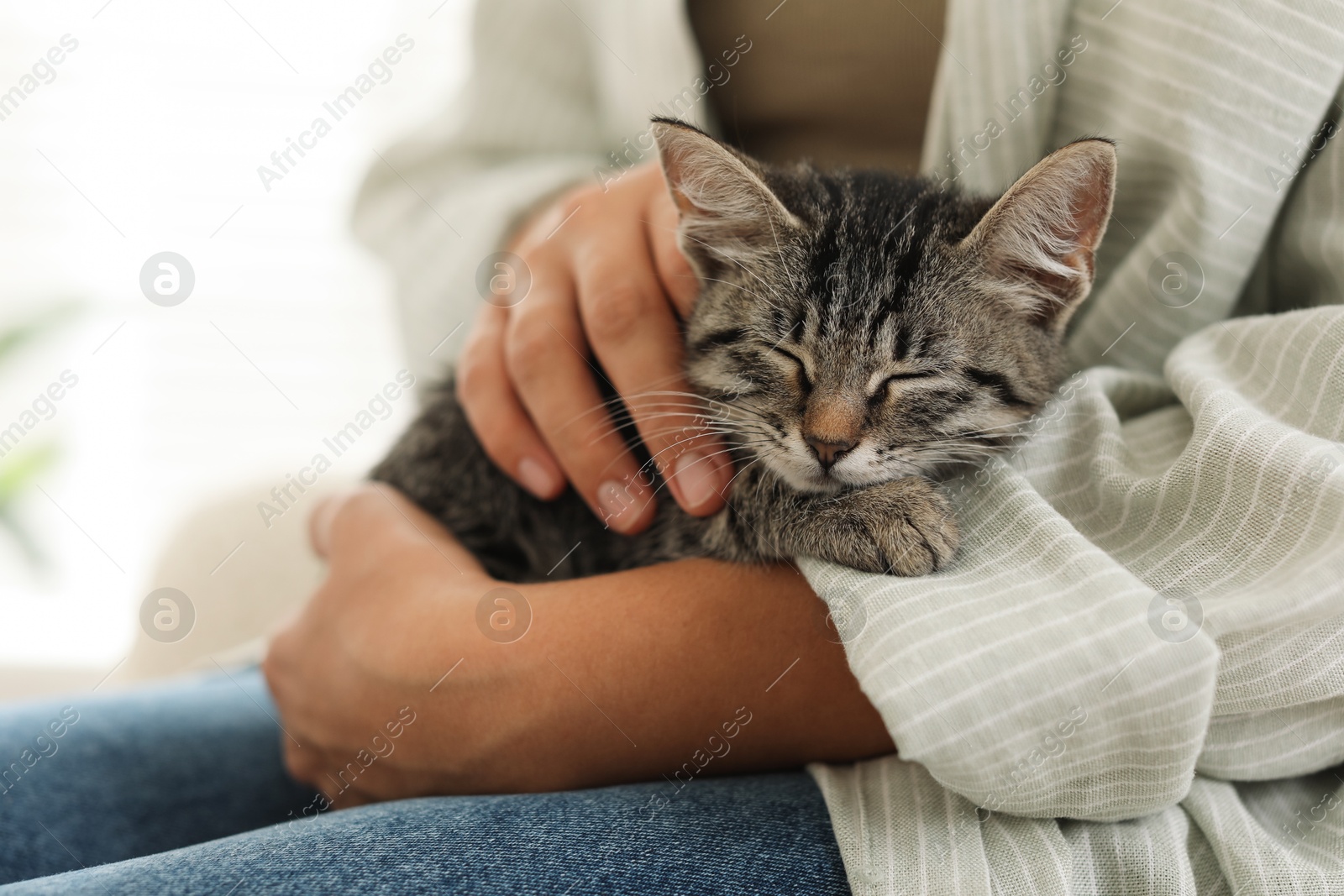 Photo of Woman with cute kitten at home, closeup