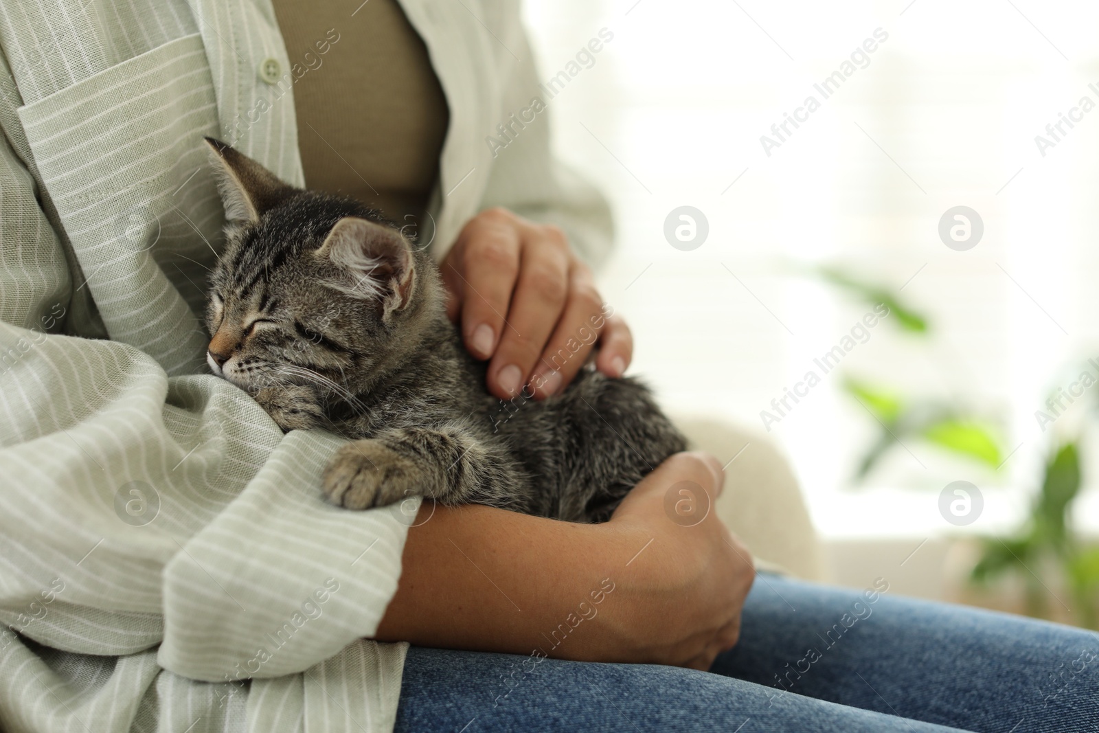 Photo of Woman with cute kitten at home, closeup