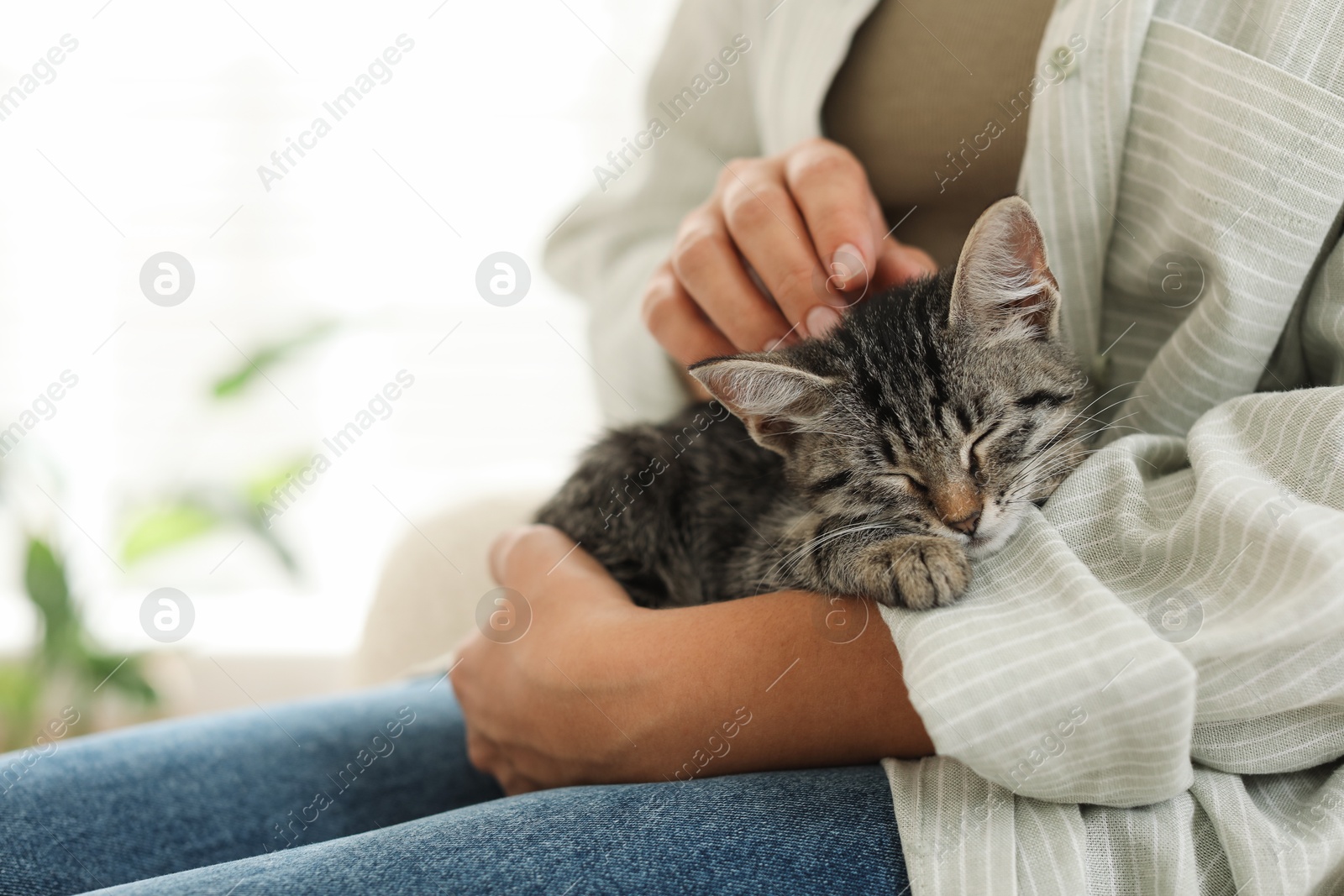 Photo of Woman with cute kitten at home, closeup