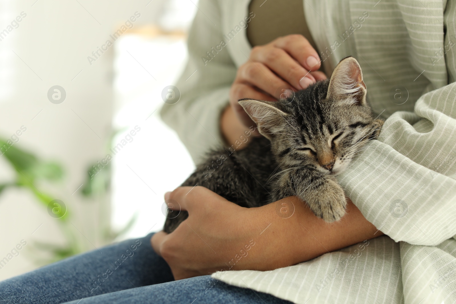 Photo of Woman with cute kitten at home, closeup