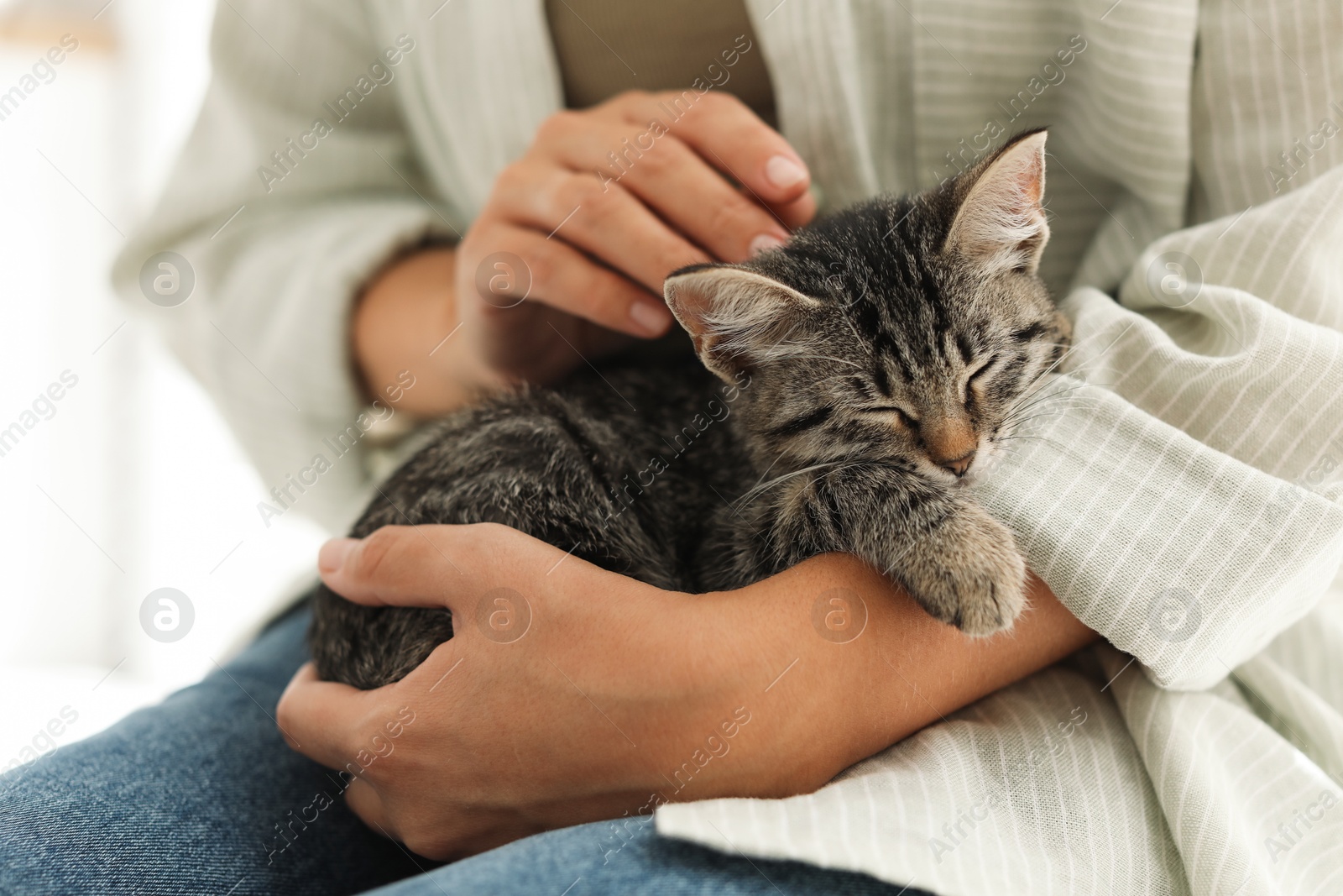 Photo of Woman with cute kitten at home, closeup