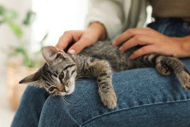 Photo of Woman with cute kitten at home, closeup