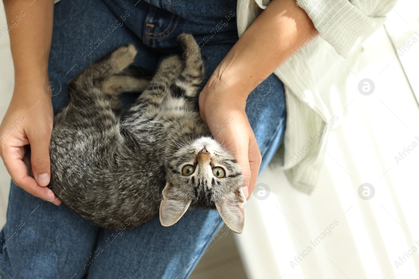 Photo of Woman with cute kitten at home, top view