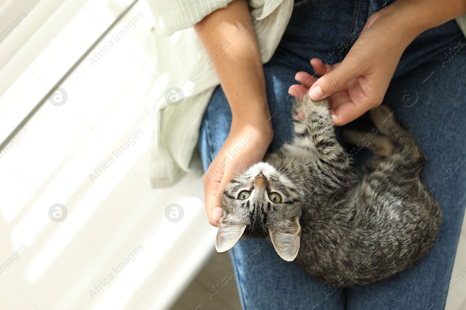 Photo of Woman with cute kitten at home, top view