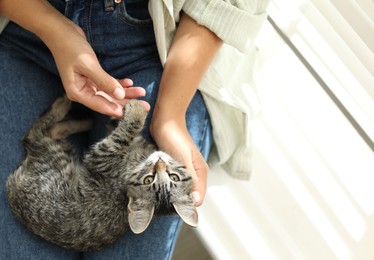 Photo of Woman with cute kitten at home, top view