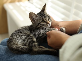 Photo of Woman with cute kitten at home, closeup