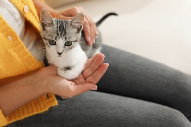 Woman with cute kitten at home, closeup