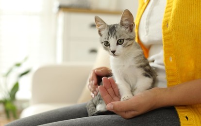 Photo of Woman with cute kitten at home, closeup. Space for text