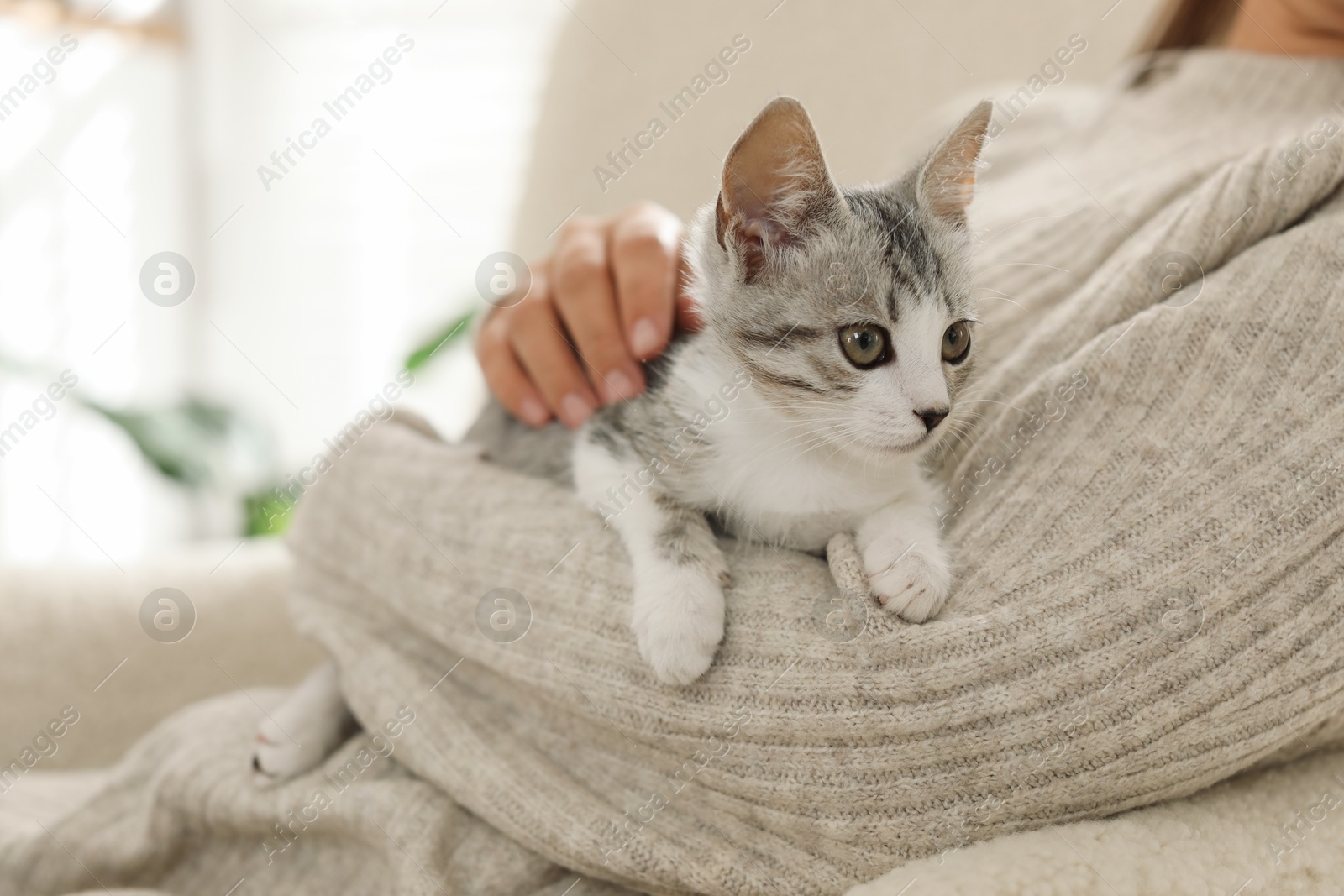 Photo of Woman with cute kitten at home, closeup