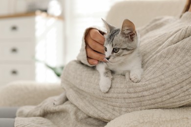 Photo of Woman with cute kitten at home, closeup